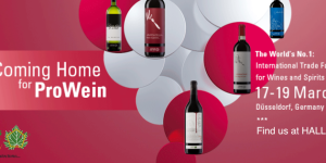 facebook-vinitaly-prowein